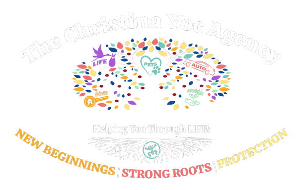 christina yoc agency springfield illinois