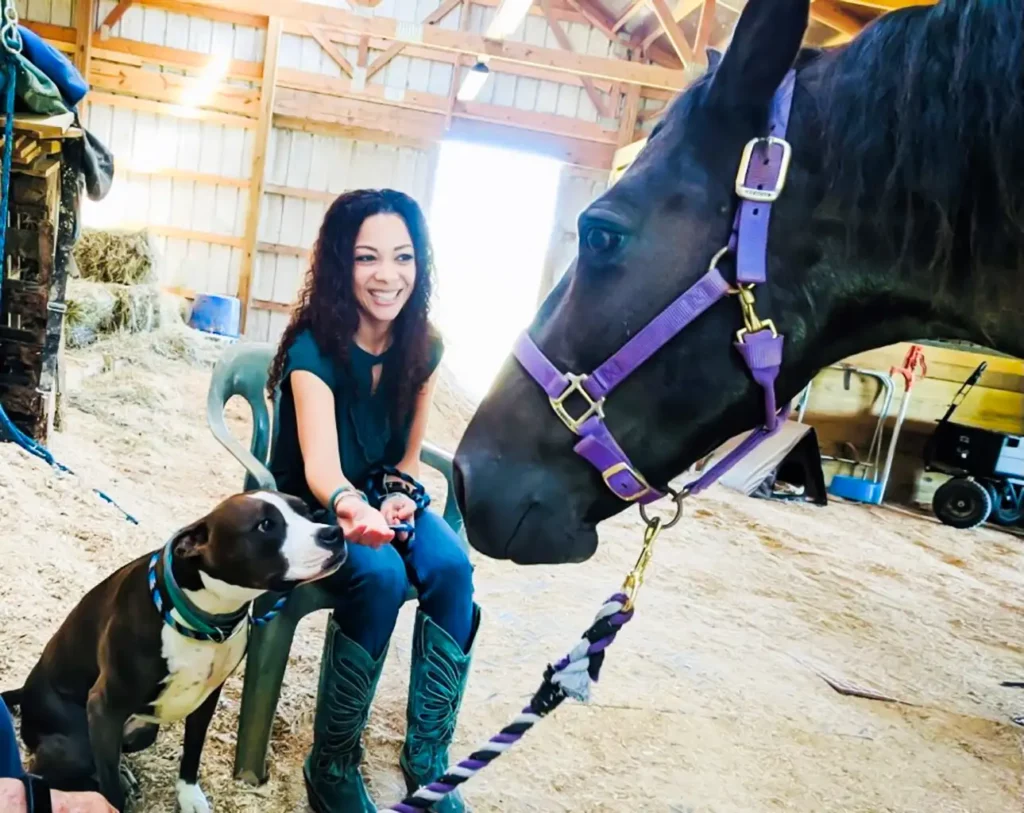 Christina Yoc Agency | Central IL owner giving love to horse