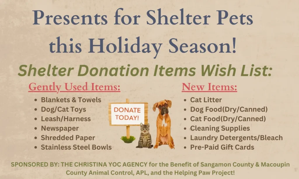Presents for Shelter Pets flyer 2023 - Springfield, IL